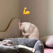 ヒメ日記 2026/01/16 18:01 投稿 しいな 池袋西口でSUGEEE求められる俺のカラダ