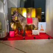 ヒメ日記 2026/02/01 00:00 投稿 しいな 池袋西口でSUGEEE求められる俺のカラダ