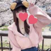 ヒメ日記 2025/05/17 20:14 投稿 姫宮　いと ZENITH spa（ゼニススパ）