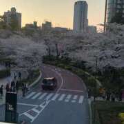 ヒメ日記 2024/03/15 18:32 投稿 中野　すずね YUDEN〜油殿〜谷九・日本橋店