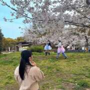 ヒメ日記 2025/03/29 15:33 投稿 ナルミ AMOUR（アムール）