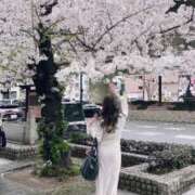 ヒメ日記 2025/04/08 18:15 投稿 にこ 熟女家 ミナミエリア店