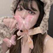 ヒメ日記 2025/11/15 17:35 投稿 みらい♡極上SPコース♡ PANTHER（パンサー）