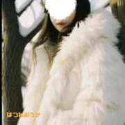 ヒメ日記 2025/03/16 10:16 投稿 初音おうか 皇帝別館（こうていべっかん）