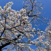 ヒメ日記 2025/04/10 12:03 投稿 なぎさ フロンティア