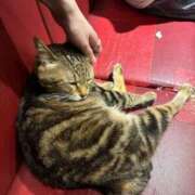 ヒメ日記 2025/04/12 14:33 投稿 なぎさ フロンティア