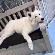 ヒメ日記 2025/04/19 12:03 投稿 なぎさ フロンティア