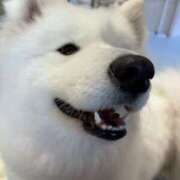 ヒメ日記 2025/04/27 21:03 投稿 なぎさ フロンティア