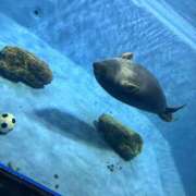 ヒメ日記 2025/05/06 20:33 投稿 なぎさ フロンティア