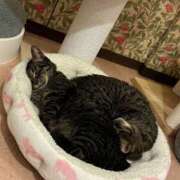 ヒメ日記 2025/07/02 15:21 投稿 なぎさ フロンティア