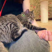 ヒメ日記 2025/07/10 12:03 投稿 なぎさ フロンティア