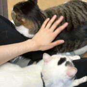 ヒメ日記 2025/10/18 20:24 投稿 なぎさ フロンティア