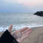 ヒメ日記 2025/11/14 19:21 投稿 なぎさ フロンティア