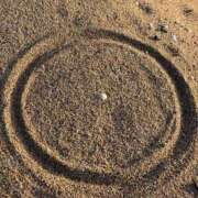 ヒメ日記 2025/12/14 12:12 投稿 なぎさ フロンティア