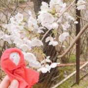 ヒメ日記 2025/04/13 16:24 投稿 ちゆ 奥様特急三条店