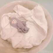 ヒメ日記 2025/05/08 05:13 投稿 ちゆ 奥様特急三条店