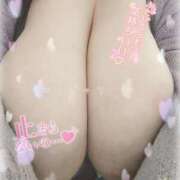 ヒメ日記 2025/11/19 02:35 投稿 じゅり KIREI（五反田）