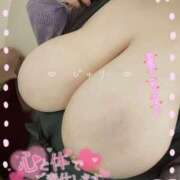 ヒメ日記 2026/02/21 11:50 投稿 じゅり KIREI（五反田）