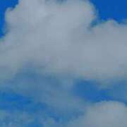 ヒメ日記 2026/03/11 14:00 投稿 なおこ 熟女の風俗最終章 西川口店