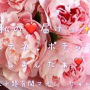 ヒメ日記 2026/02/15 09:12 投稿 じゅん☆解き放つフェロモン 五十路有閑マダム～沖縄店～