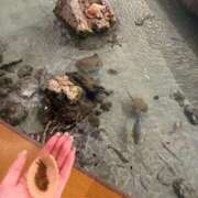 ヒメ日記 2025/07/26 23:48 投稿 ゆあ ごほうびSPA名古屋店