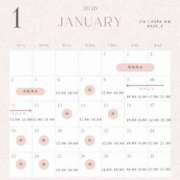 ヒメ日記 2026/01/04 18:58 投稿 ゆあ ごほうびSPA名古屋店