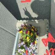 ヒメ日記 2025/03/15 17:12 投稿 りら 熟女家 豊中蛍池店