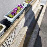 ヒメ日記 2025/03/18 13:58 投稿 りら 熟女家 豊中蛍池店