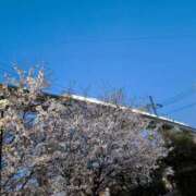 ヒメ日記 2025/04/09 21:18 投稿 りら 熟女家 豊中蛍池店