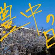 ヒメ日記 2025/04/10 11:21 投稿 りら 熟女家 豊中蛍池店