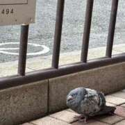 ヒメ日記 2025/04/10 18:53 投稿 りら 熟女家 豊中蛍池店