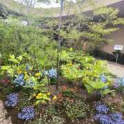 ヒメ日記 2025/06/16 15:34 投稿 りら 熟女家 豊中蛍池店