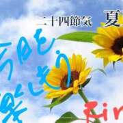 ヒメ日記 2025/06/21 10:22 投稿 りら 熟女家 豊中蛍池店