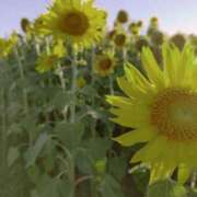 ヒメ日記 2025/07/16 12:14 投稿 りら 熟女家 豊中蛍池店