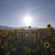 ヒメ日記 2025/07/29 21:58 投稿 りら 熟女家 豊中蛍池店