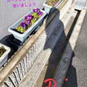 ヒメ日記 2025/08/24 14:12 投稿 りら 熟女家 豊中蛍池店