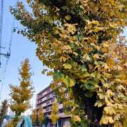 ヒメ日記 2025/11/30 07:03 投稿 りら 熟女家 豊中蛍池店