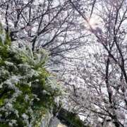 ヒメ日記 2026/03/28 19:54 投稿 りら 熟女家 豊中蛍池店