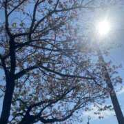 ヒメ日記 2025/04/09 18:35 投稿 ゆん 宮崎SANSAIN