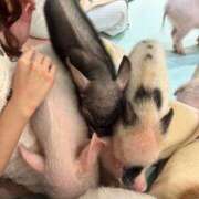 ヒメ日記 2025/08/16 15:06 投稿 ひめ 池袋マリン本店