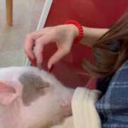 ヒメ日記 2025/10/07 22:49 投稿 ひめ 池袋マリン本店