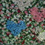 ヒメ日記 2025/03/14 08:44 投稿 いずみ 人妻倶楽部内緒の関係 柏店