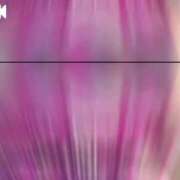 ヒメ日記 2025/06/30 15:19 投稿 天知ゆうき ウルトラグレイス24