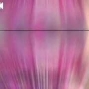 ヒメ日記 2026/01/11 00:20 投稿 天知ゆうき ウルトラグレイス24