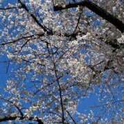 ヒメ日記 2026/04/03 15:20 投稿 天知ゆうき ウルトラグレイス24