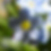 ヒメ日記 2026/01/24 21:11 投稿 いずみ ○コキクリニック～○○クリニックシリーズ～