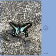 ヒメ日記 2025/04/24 15:36 投稿 如月和子 五十路マダム 浜松店(カサブランカグループ)