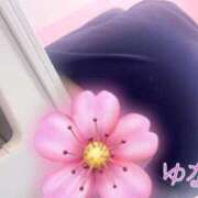 ヒメ日記 2025/04/08 00:00 投稿 ゆな 人妻熟女奉仕倶楽部