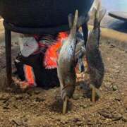 ヒメ日記 2026/02/28 17:50 投稿 ゆな 人妻熟女奉仕倶楽部