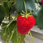 ヒメ日記 2026/03/30 16:50 投稿 ゆな 人妻熟女奉仕倶楽部